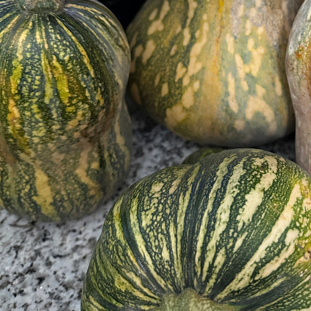 Ayote Squash